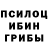 ГАШ hashish Cecilia Swope