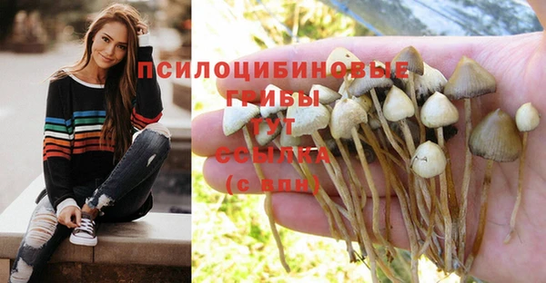 амфетамин Алексеевка