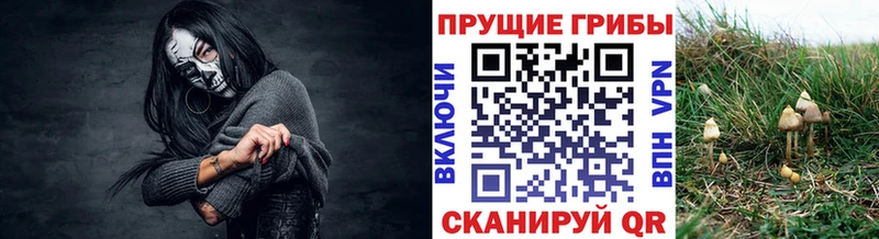 купить закладку  Сасово  mega ССЫЛКА  Галлюциногенные грибы GOLDEN TEACHER 