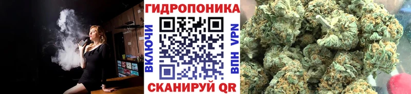 Марихуана семена  купить закладку  Сасово 